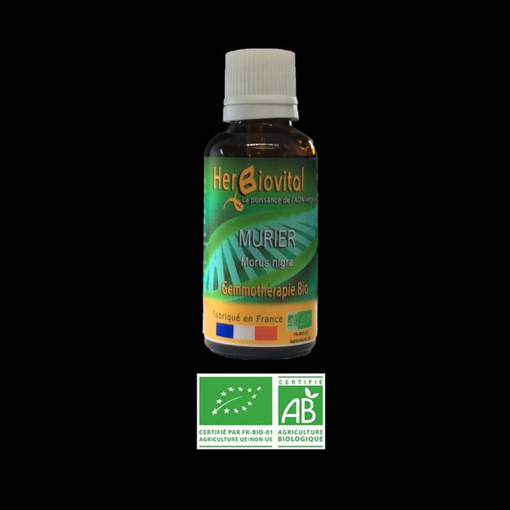 Gelso biologico - Macerato bruciagrassi per la vendita all'ingrosso da parte di HERBIOVITAL