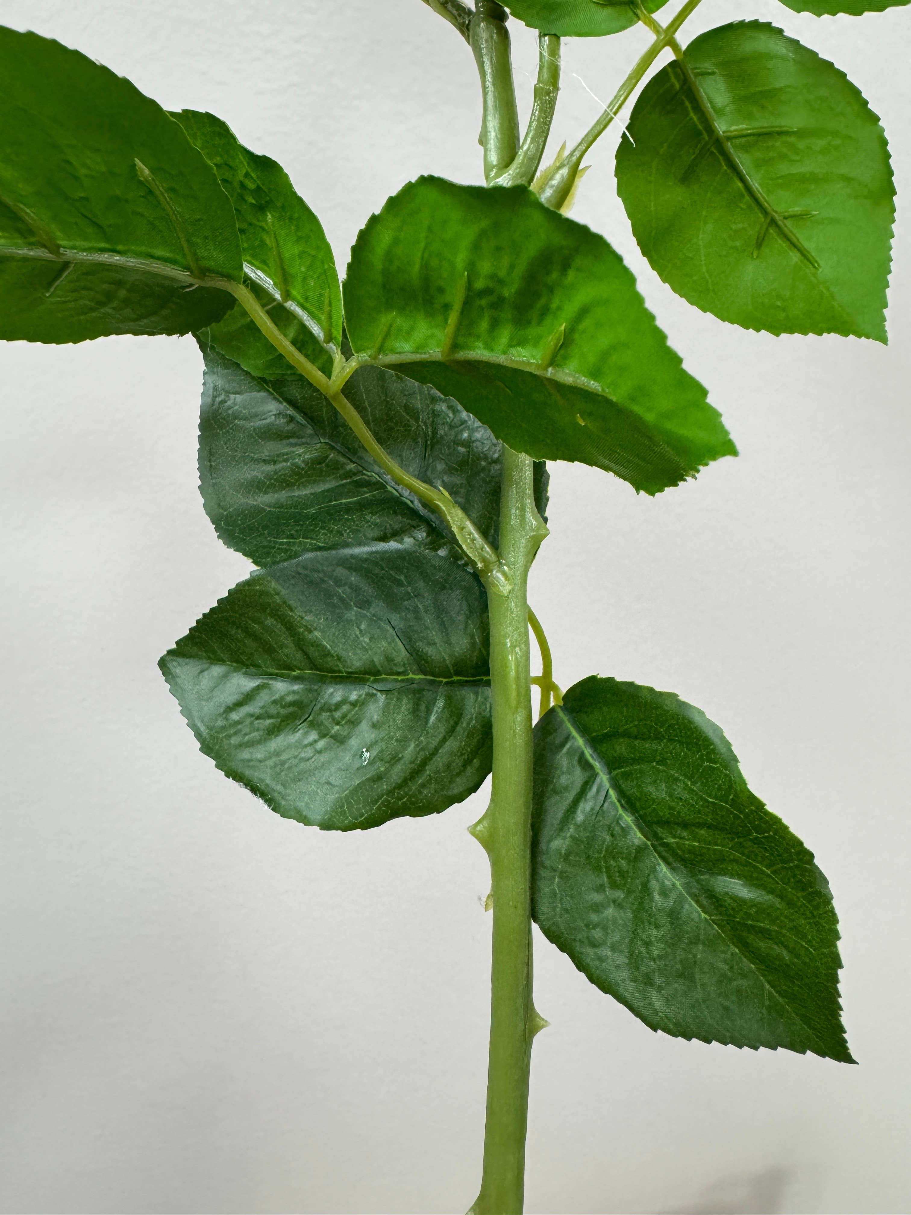 Angel Isabella - Wholesale Artificial flowers - 27"-Lux Faux Juliet Rose-Moisturizing Finish-5"Bloom13