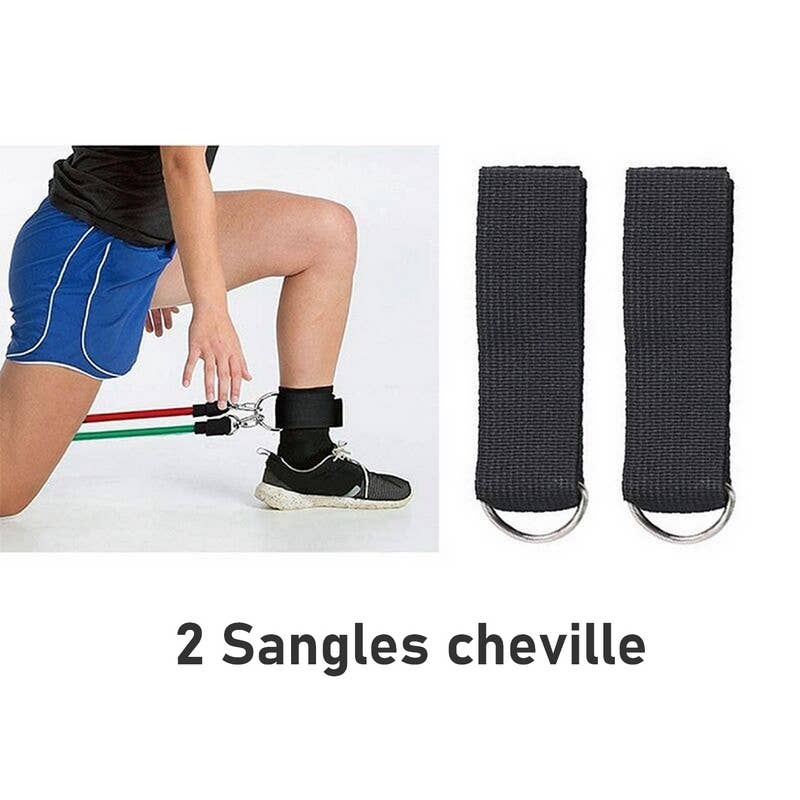 Zen'Arôme - Wholesale Fitness Equipment - Sport Pack - Set of 10 Training and Bodybuilding Accessories3