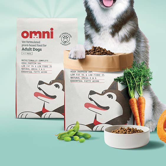 Adult Explorers for wholesale by Omni