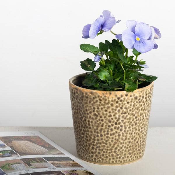 Forpost Trade Inc - Vente Pot - Pot de fleurs texturé3