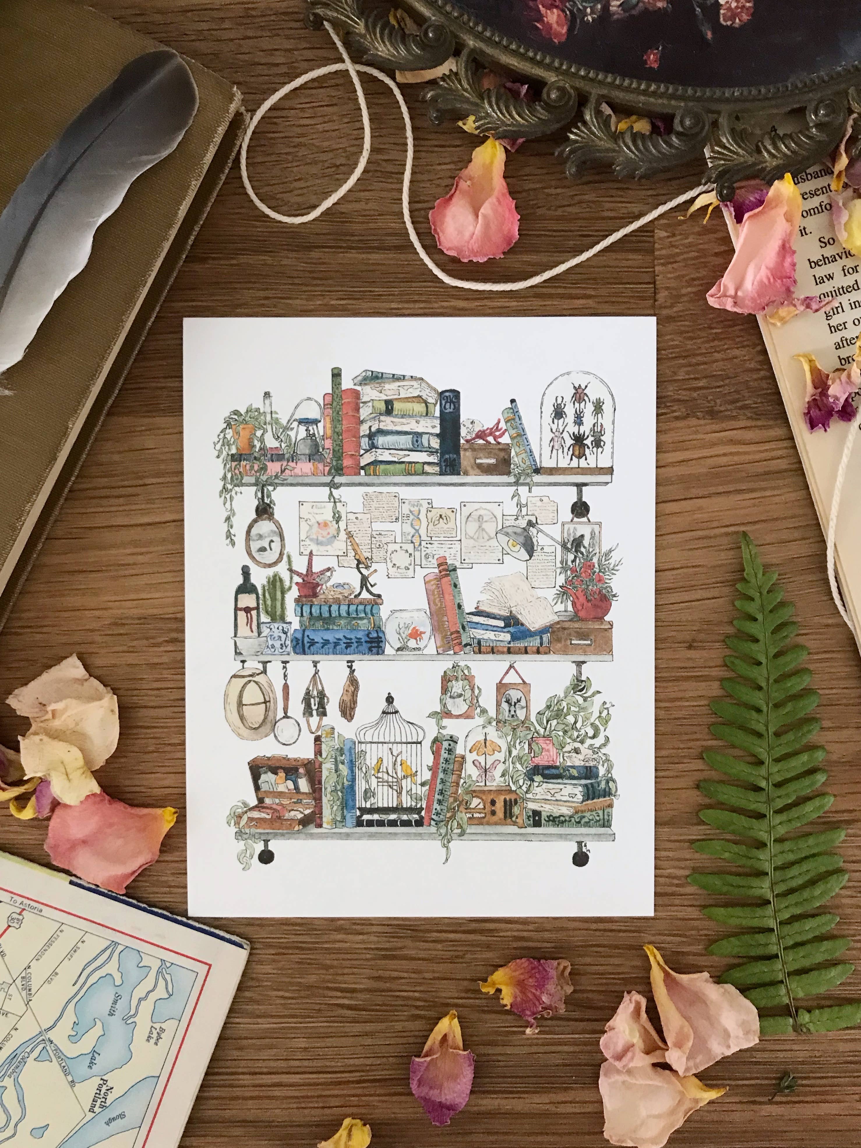 Lizzy Gass - Wholesale Postcard - The Biologist's Shelves Postcard2