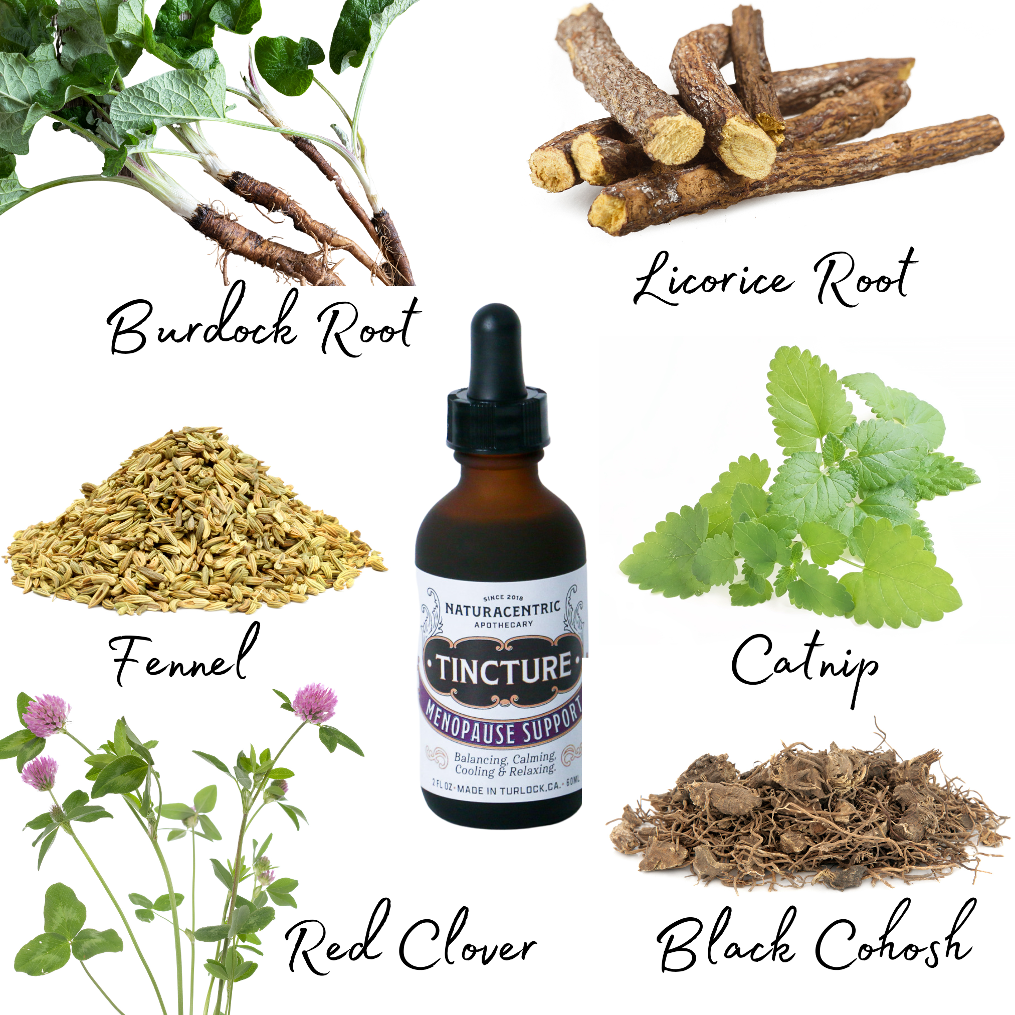 Naturacentric - Wholesale Tincture - Menopause Support Tincture3