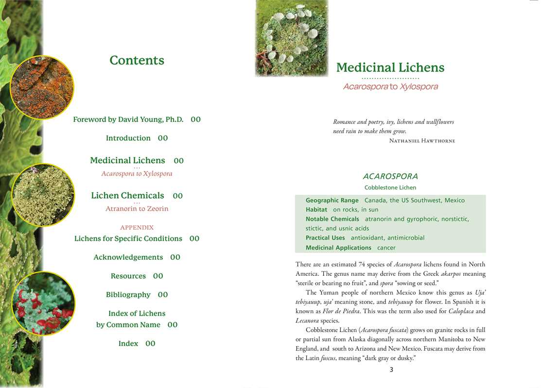 Simon & Schuster - Wholesale Medical Health - Medicinal Lichens by Robert Dale Rogers1