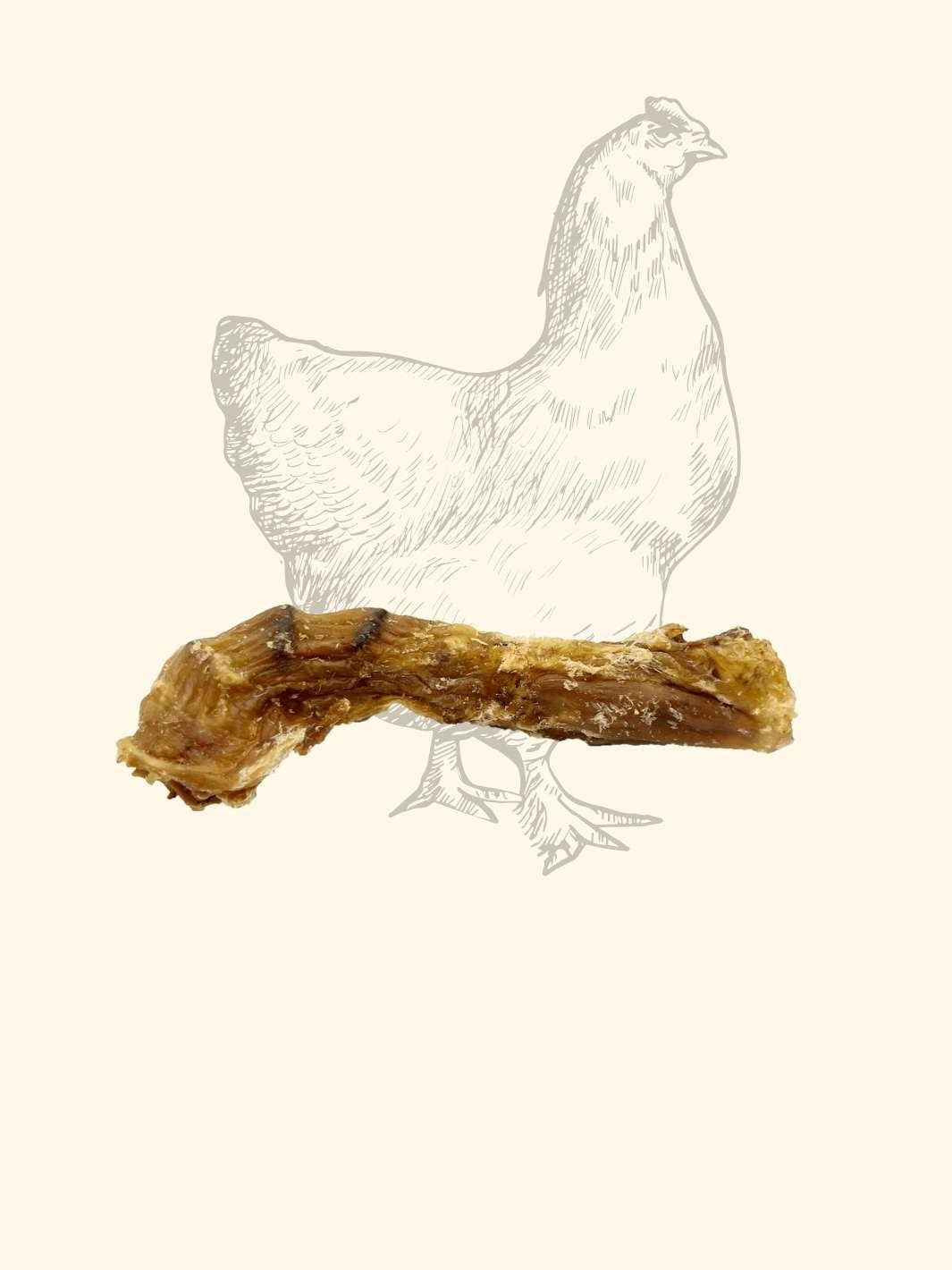 Truffe Délice - Wholesale Pet Treats - Dog - Chicken necks4