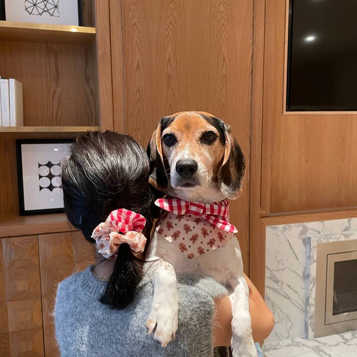 BarkBarkBaby - Venta al por mayor Coletero - Mujer - Coletero hecho a mano con estampado de hombre de jengibre y cuadros vichy de la mañana de Navidad