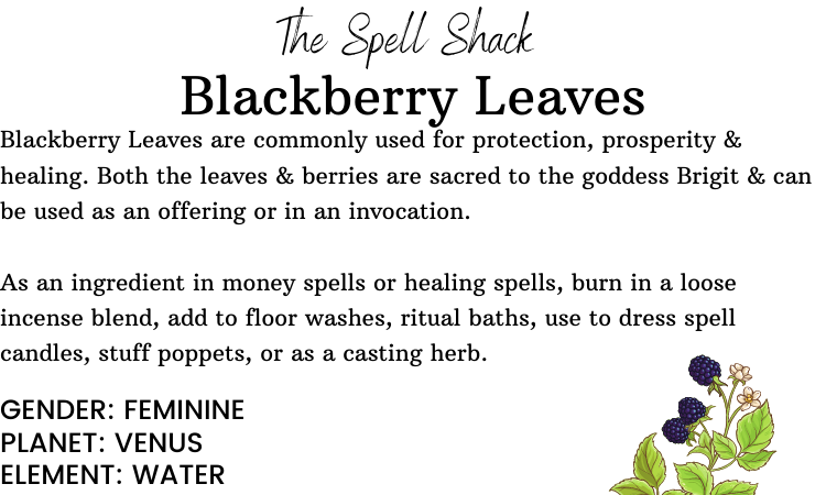 Witchuals - Rituals & Spellwork Apothecary – wholesale Meditation supplies – Blackberry Leaves2