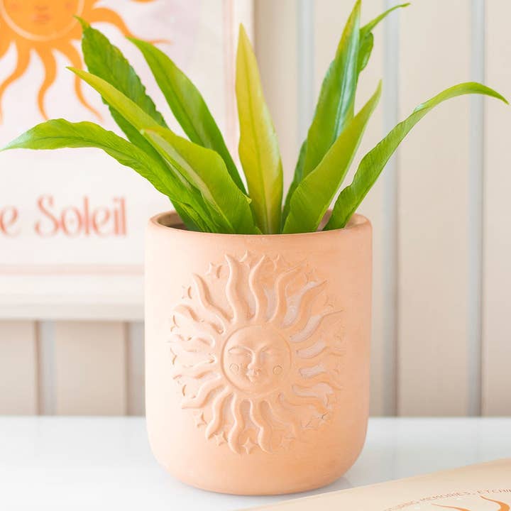 Something Different Wholesale – wholesale Plant pot – Terracotta Sun Plant Pot0