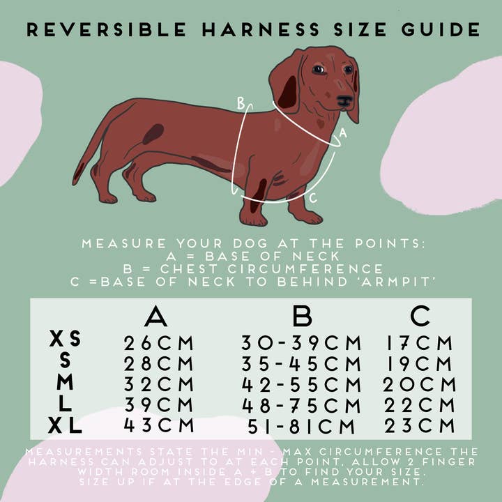 Walk + Wear | Reversible Harness | Driving Home / HOHOHO for wholesale by Poppy + Ted