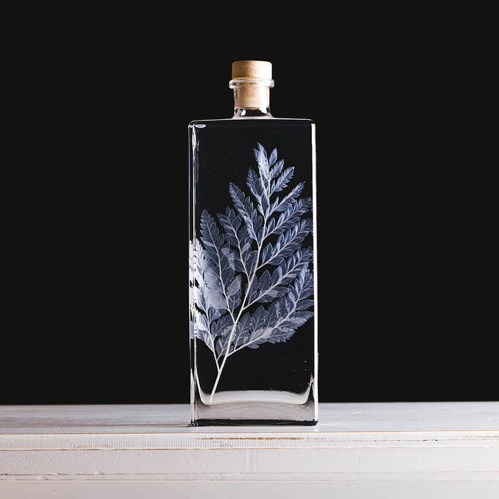 Theophile Berthon - Wholesale Live Plant - Herbarium Fern White Leather - submerged plant