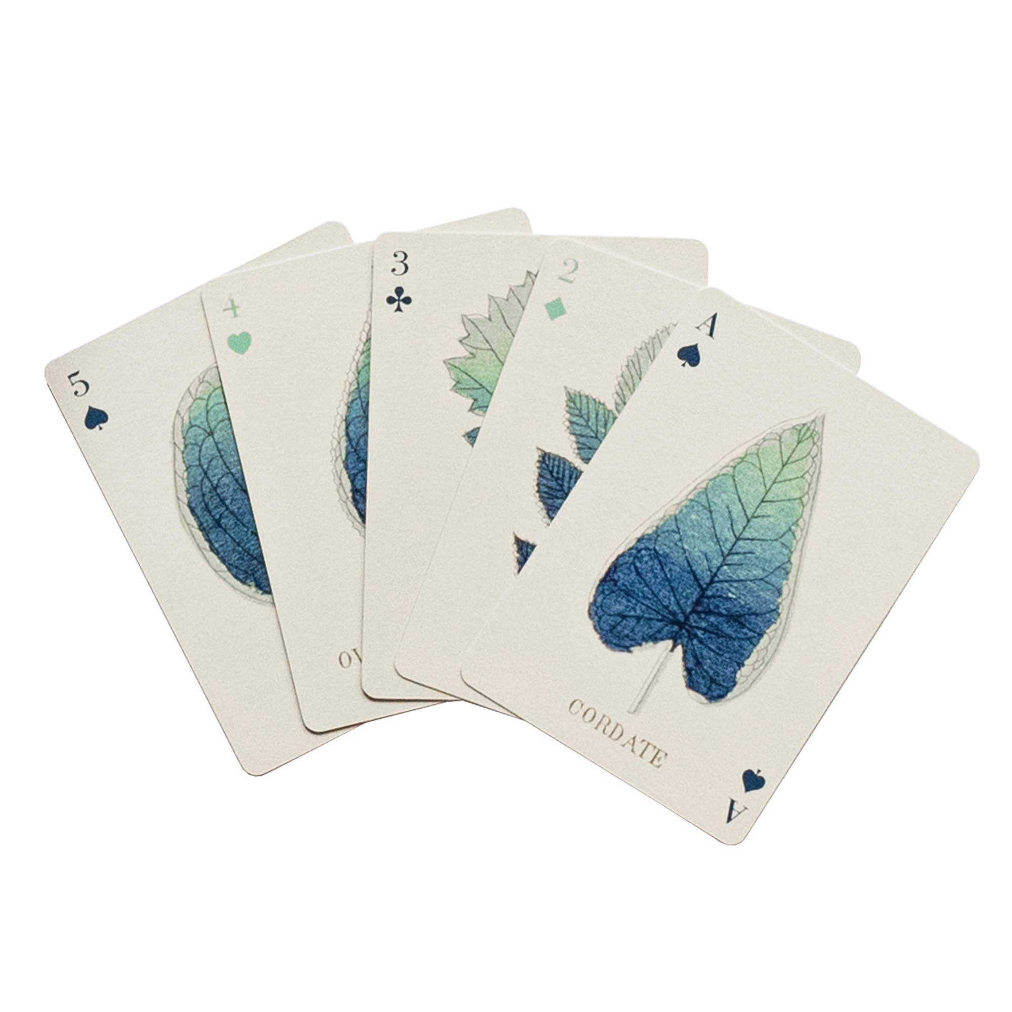 Roomytown Inc - Wholesale Playing Cards - Playing Cards - Set of Two Decks - Shapes of Leaves2