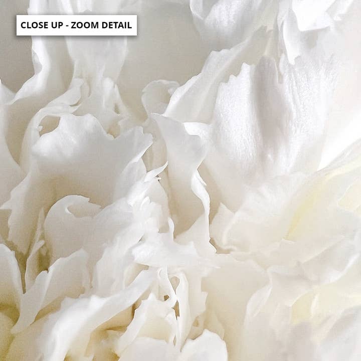 PRINT AND PROPER - Wholesale Art print - White Chrysanthemum Details. Neutral White Wall Art Print2