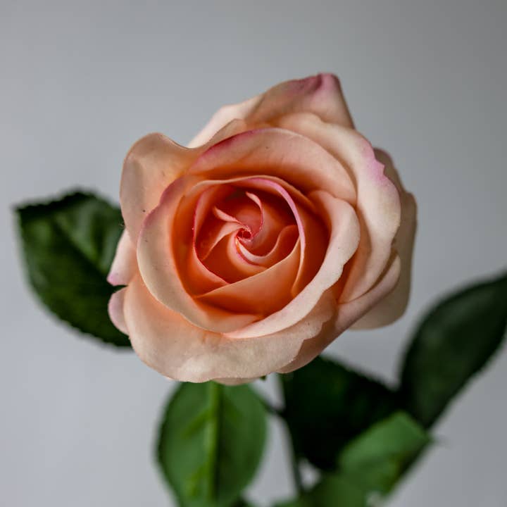 Realistic Artificial Flowers – Großhandel Künstliche Blumen – Vintage Koralle Echt-Touch Halbe Blüte Rose