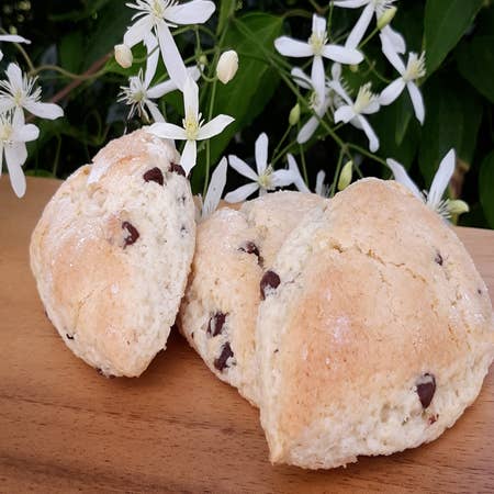 Dr. Pete's Foods - Wholesale Biscuit Mix - Chocolate Chip Scone Mix