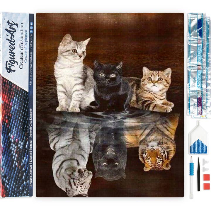 Diamond Painting - Kitten Reflection for wholesale by Figured'Art