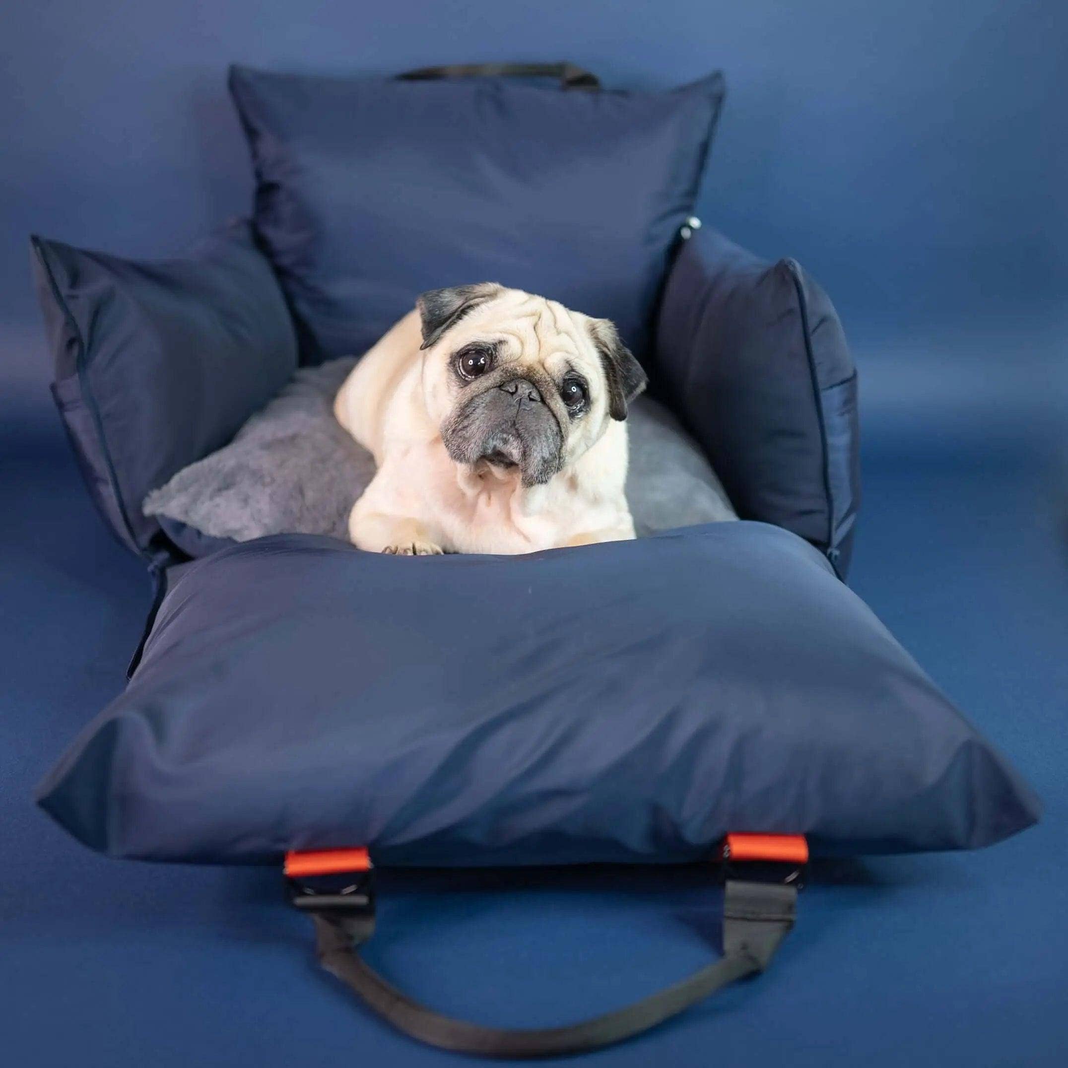 Luther Bennett – Großhandel Haustier-Transportbox – Hund – Travel Dog Pod 2.0 – jetzt mit IsoFix17