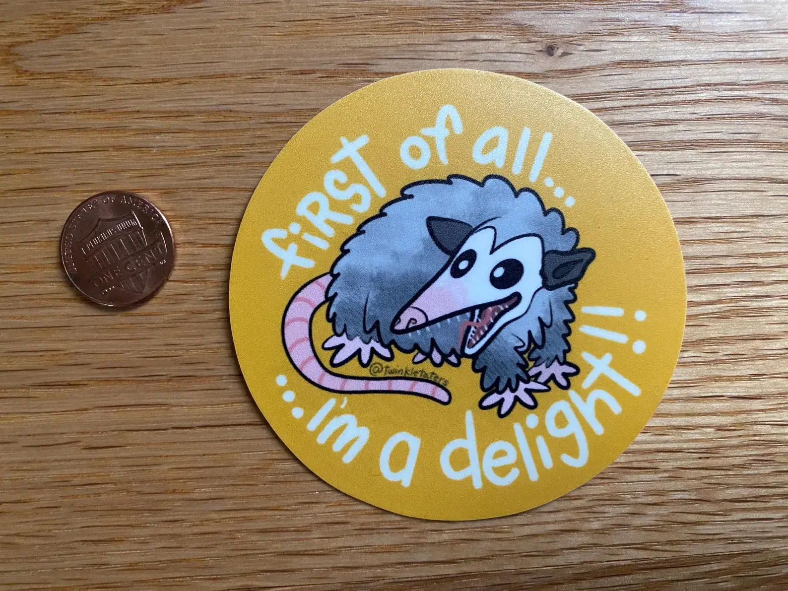 Designs by Diana - twinkletaters - Wholesale Sticker - Funny Opossum Vinyl Sticker2