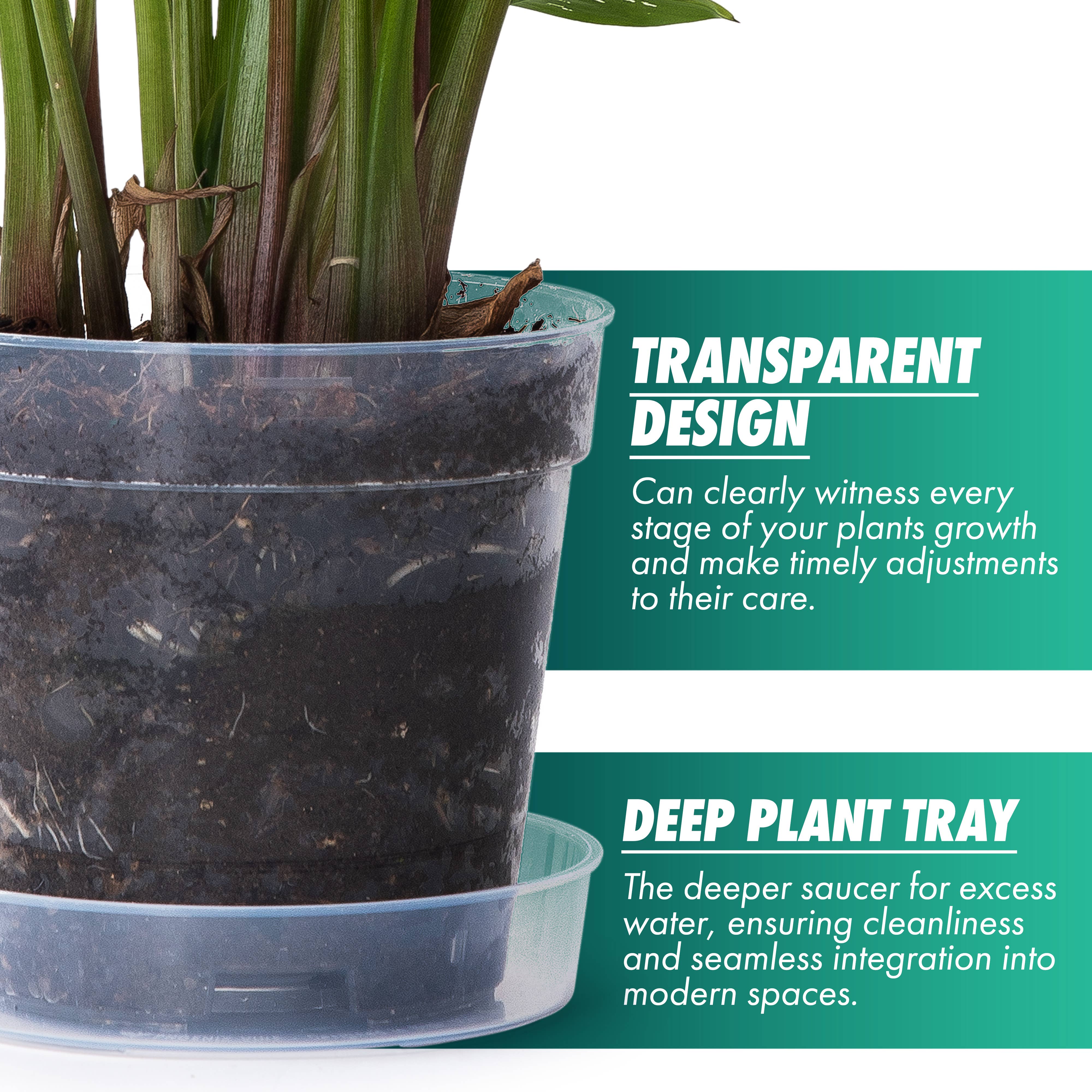 D'VINE DEV - Wholesale Plant Pot - Clear Nursery Pot with an Interlocking Saucer, 6" X 5.5"5