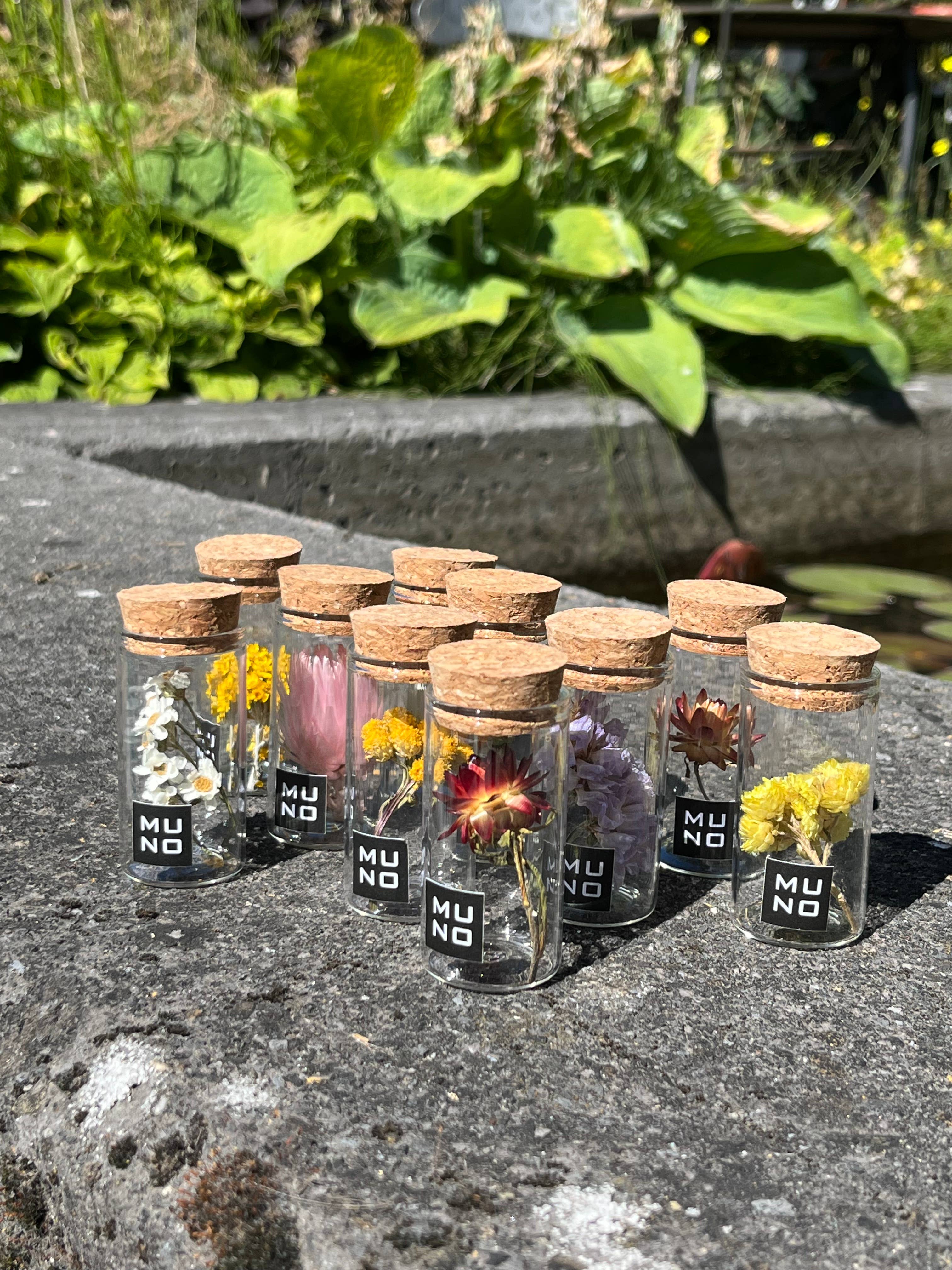 Muno - Wholesale Dried/Pressed Flowers - TUBE 6 CM WITH DRIED FLOWER1