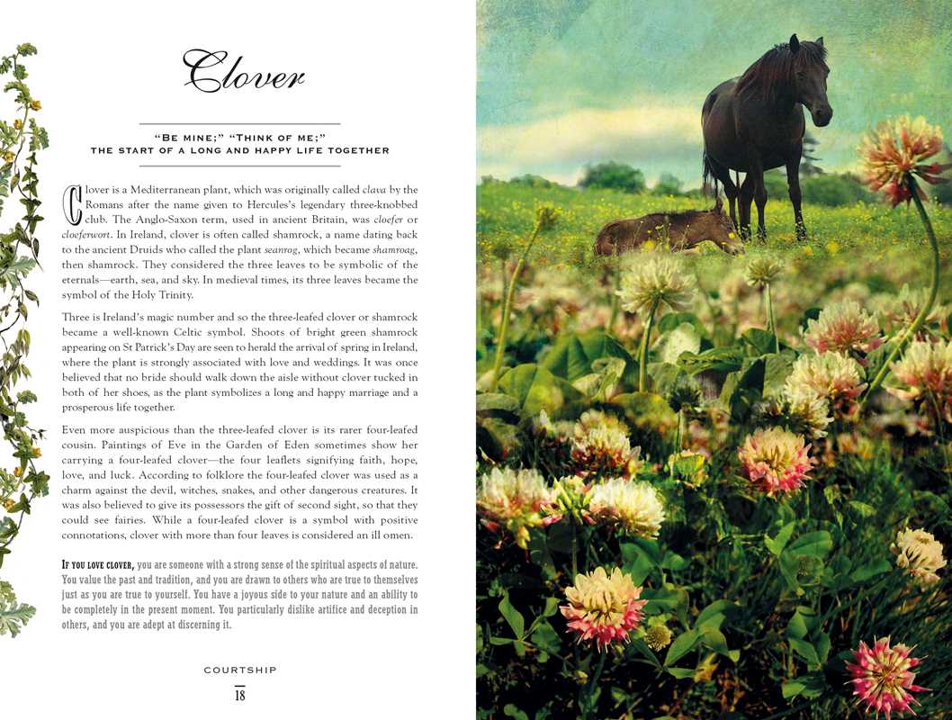 Simon & Schuster - Wholesale Nature & Outdoors - Secret Language of Flowers by Samantha Gray1