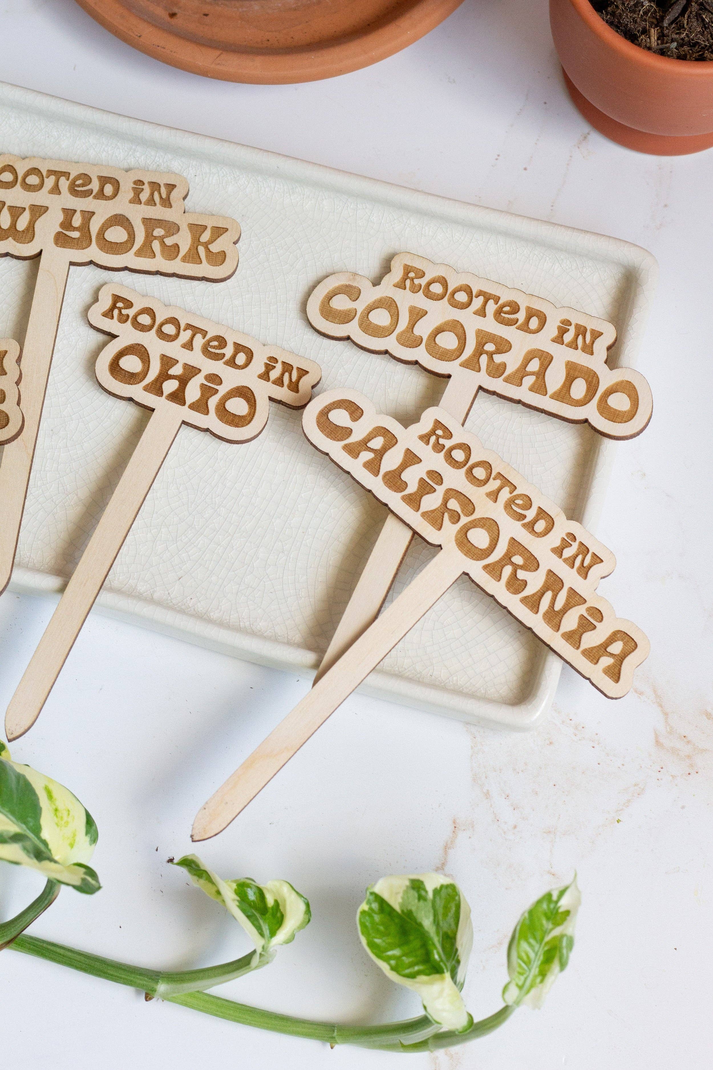 The Print Pantry - Vente Piquets de jardin/pelouse - Piquets pour plantes Retro State Name8