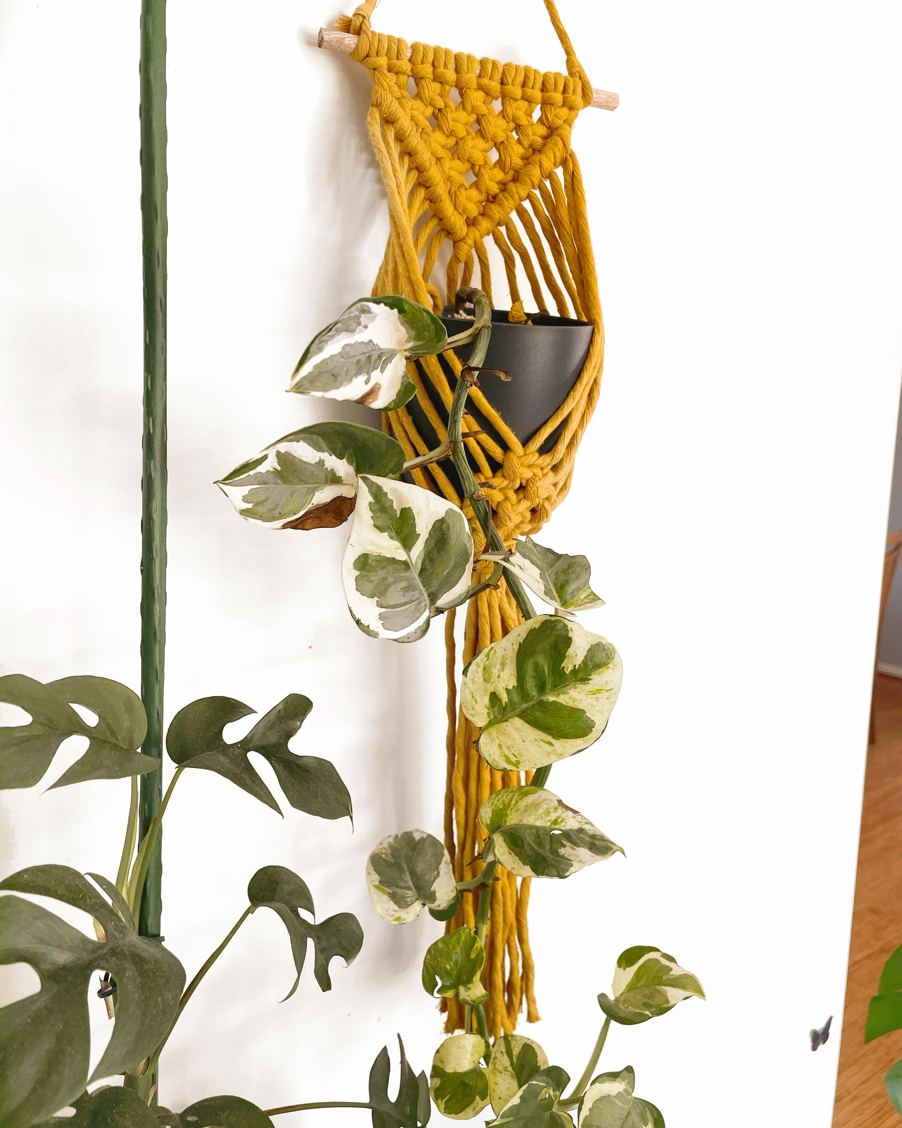 Knots & Stone - Wholesale Hanging planter - Macrame Plant Hanger ( Dowel)1