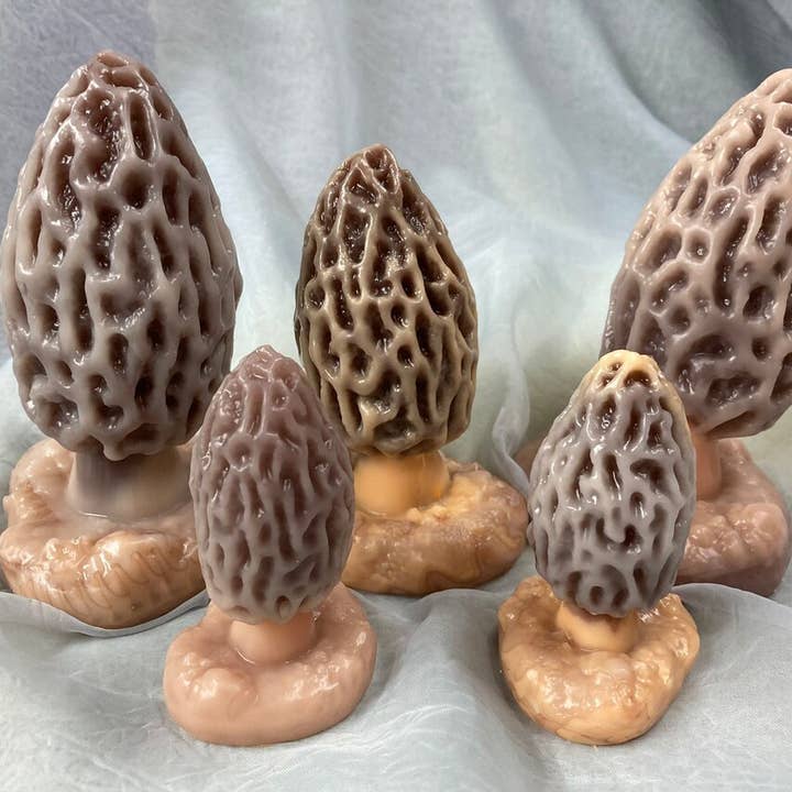 Something Squishy Toys - Wholesale Sex Toy - Silicone Morel Mushroom Plug - Natural Color
