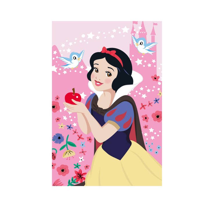 Manta de Forro Polar de Princesas Disney - 100 x 150 cm - 2 para venta al por mayor de Evidence