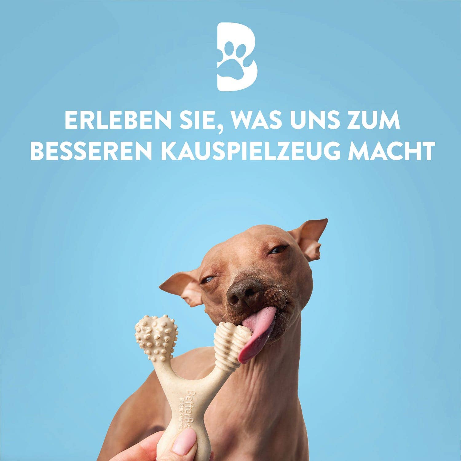 BetterBone - Venta al por mayor Juguete para morder - Perros - DACH - Soltero: BetterBone / Pequeño / Suave / Ternera (SSB)2