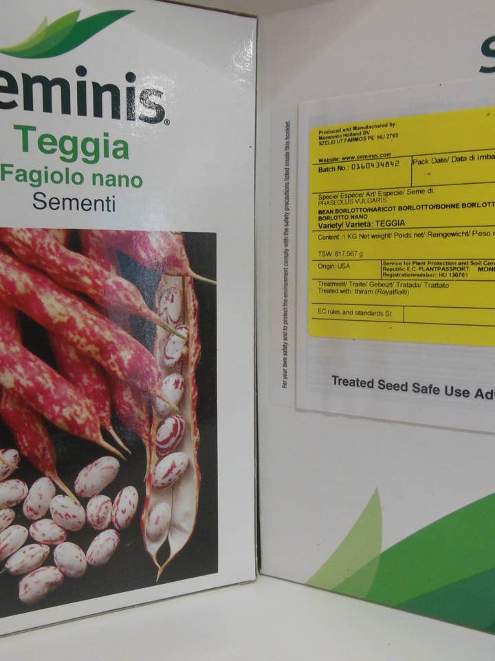Dwarf Teggia Bean for wholesale by Sementi & Barbatelle