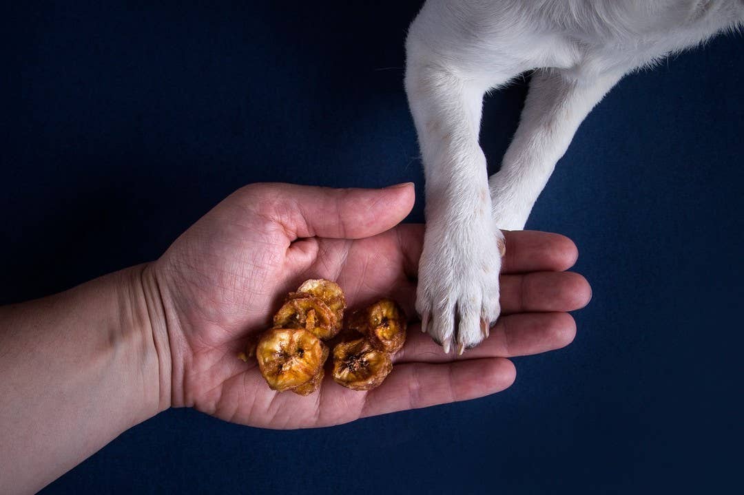 Tippy Taps Treats – wholesale Godis - Hund – Naturliga hundgodisar, banan tugg 100 g - vegansk & glutenfri6