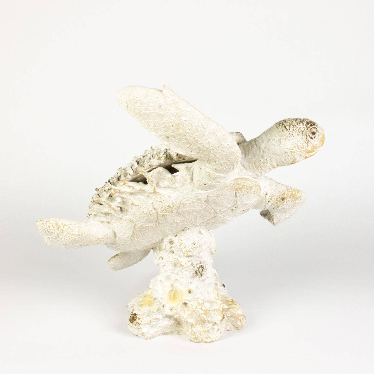 Nauticalia – wholesale Ornament – Coral Creatures - Turtle, 26cm1