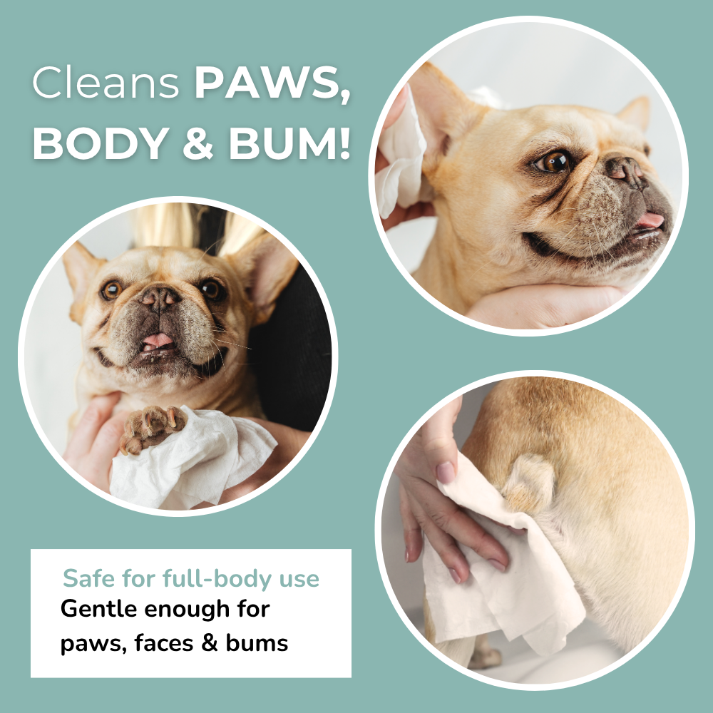 LOMI Pet Care – Engroshandel Pelsplejeprodukter til kœledyr – Hund – Bambus plejeservietter – rejstørrelse4