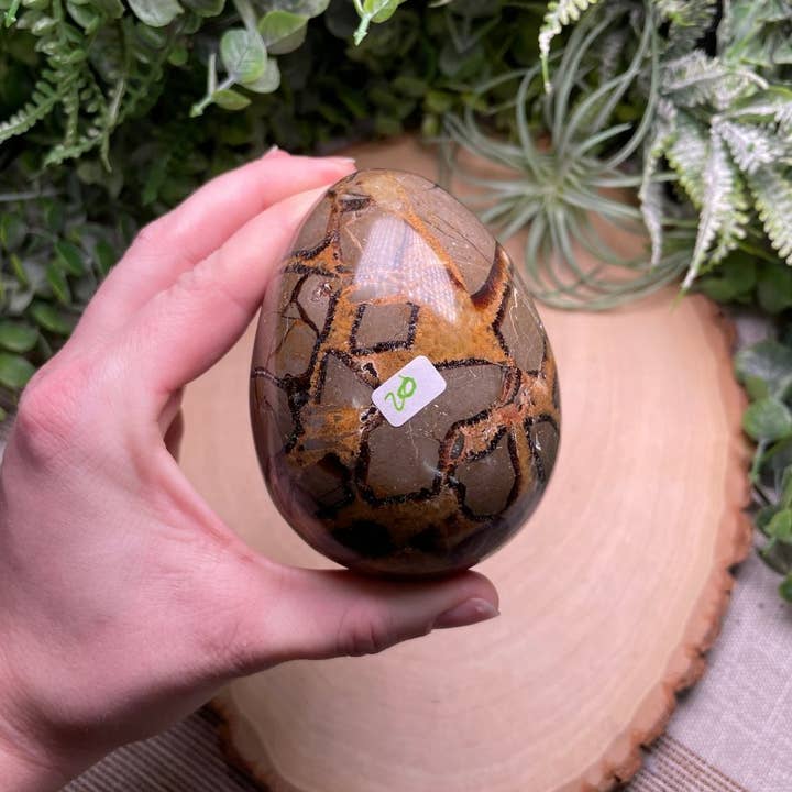 Copper Ashes - Wholesale Spiritual Stone/Crystal - Septarian Egg14