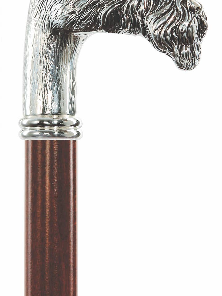 Fox Terrier for wholesale by Harvy Canes