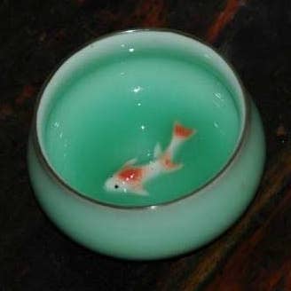 Fish Pond Tea Cup for wholesale by In Nature Teas