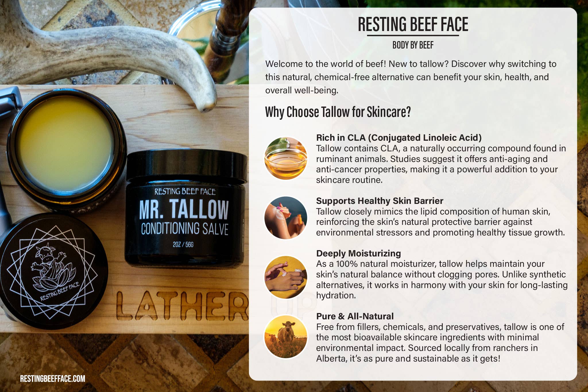 Resting Beef Face - Wholesale Healing Salve/Balm/Cream - RESTING BEEF FACE | MR.TALLOW CONDITIONING SALVE 2oz4