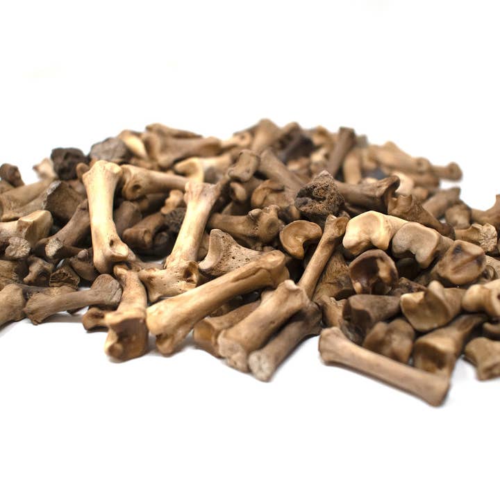 Gråvargens tå- och svansben för wholesale av Oreamnos Oddities