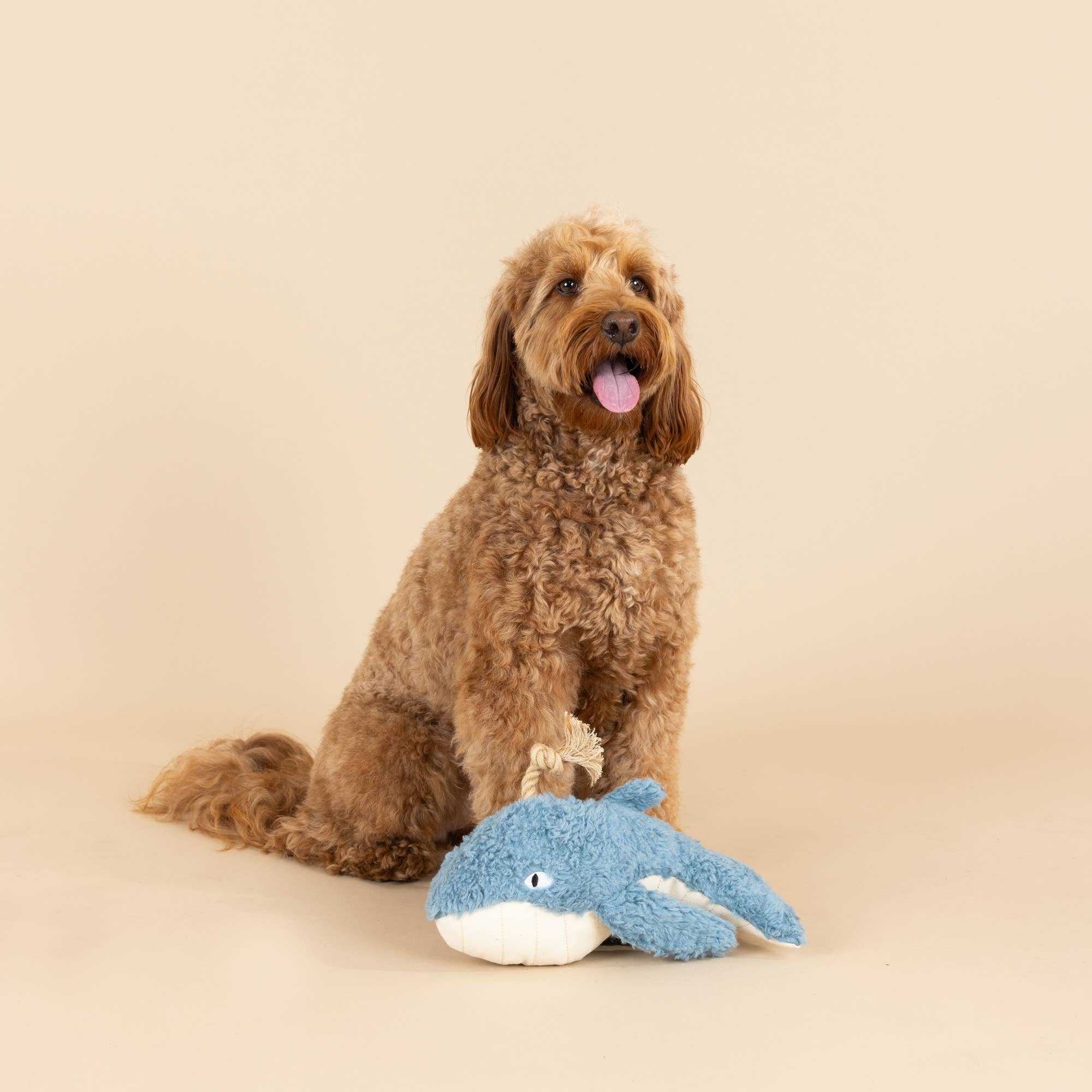 Petshop by Fringe Studio - Wholesale Pet Plush Toy - Dog - EARTH FRIENDLY DOG TOY OH WHALE2