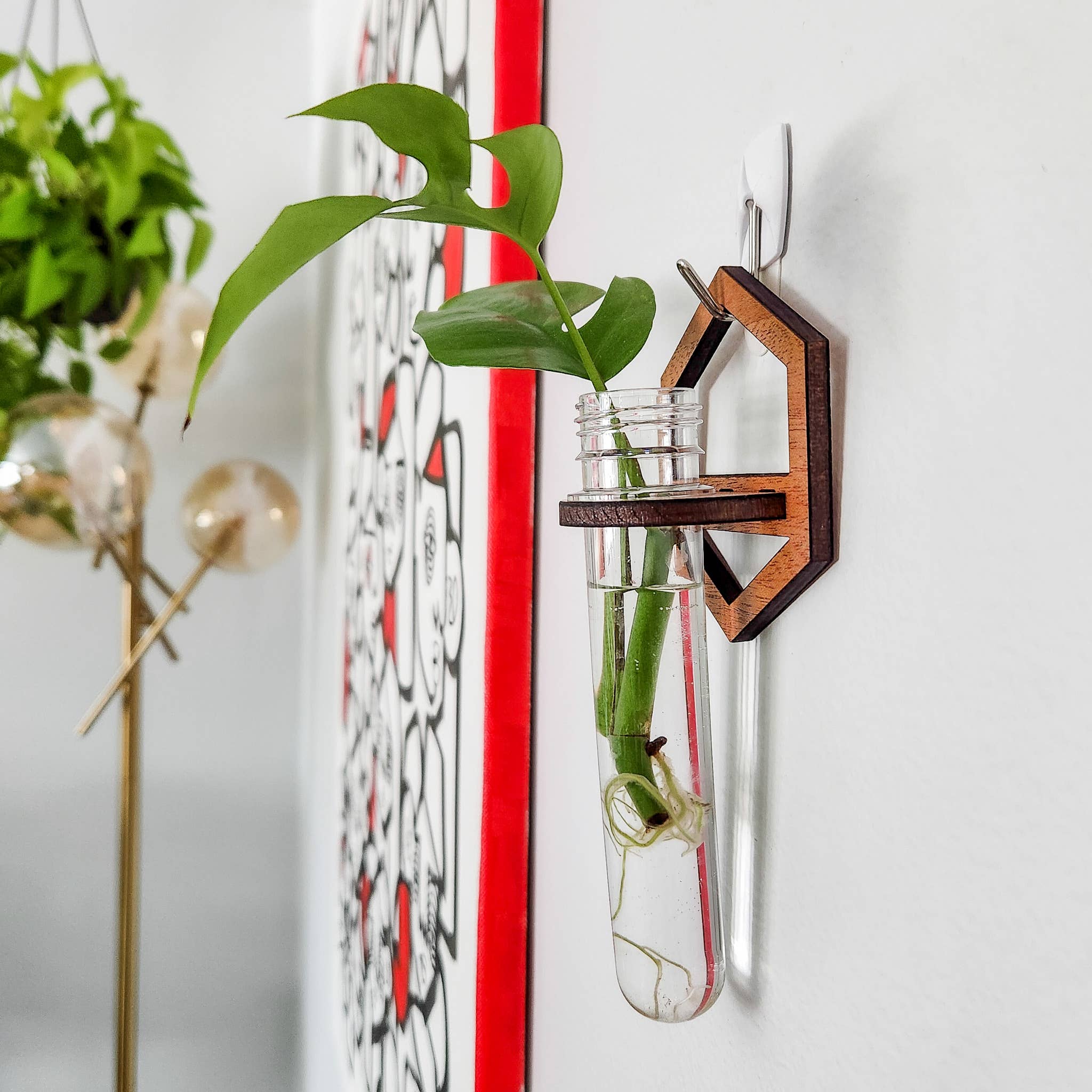 Leaf & Node - Wholesale Hanging Planter - Wall Hanging Propagation Station - Wooden Hexagon Outline7