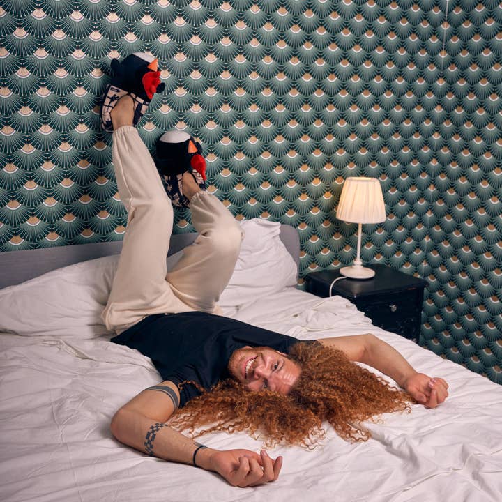 Coddies - Wholesale Slippers - Unisex - Coddies Feathers McGraw Wallace & Gromit Slippers3