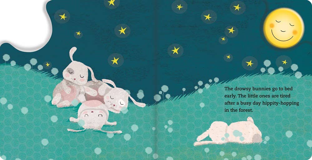Independent Publishers Group - Wholesale Preschool Book (3-5) - Goodnight, Sleepy Animals (A Nightlight Book)5