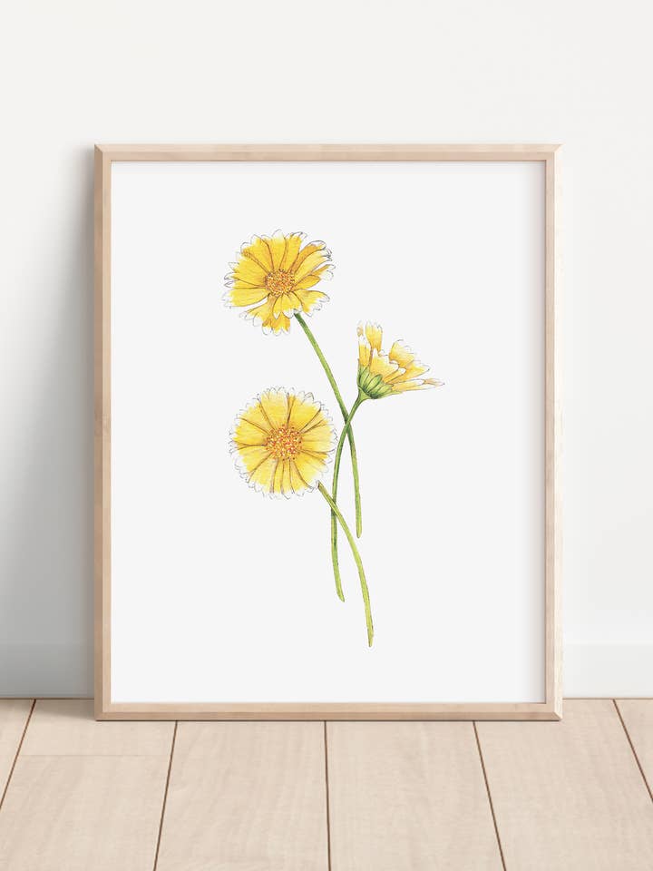 California wildflower watercolor art print for wholesale by Hannah Moore Art