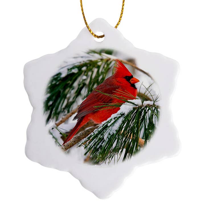 3dRose, Cardenal rojo y negro posado en un pino nevado, Adorno para venta al por mayor de 3dRose