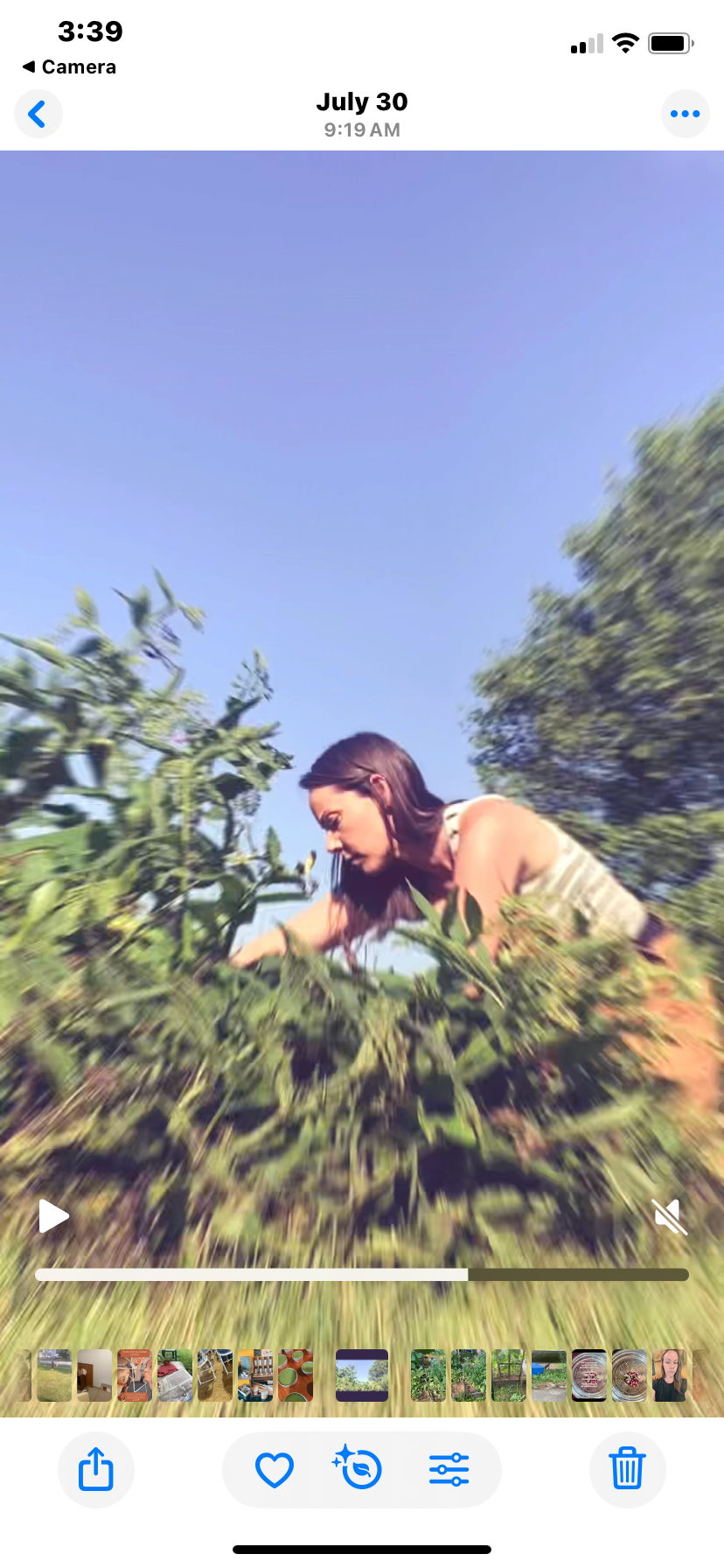 Mullein & Moon - Wholesale Bath/Body Oil - Comfrey Herbal Oil1