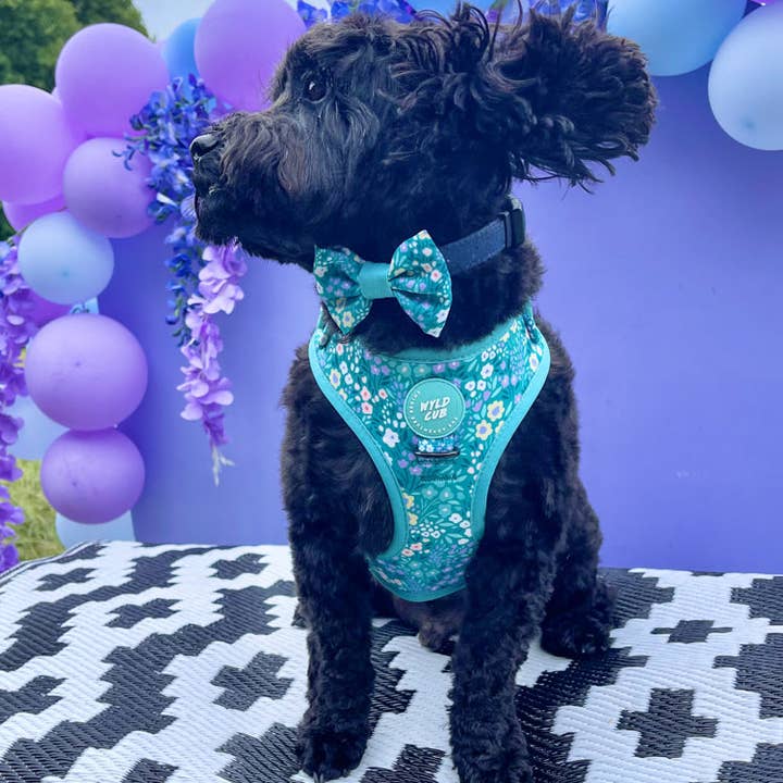 WYLD CUB - Wholesale Pet Harness - Dog - Adjustable Dog Harness: Notting Hill Mint28