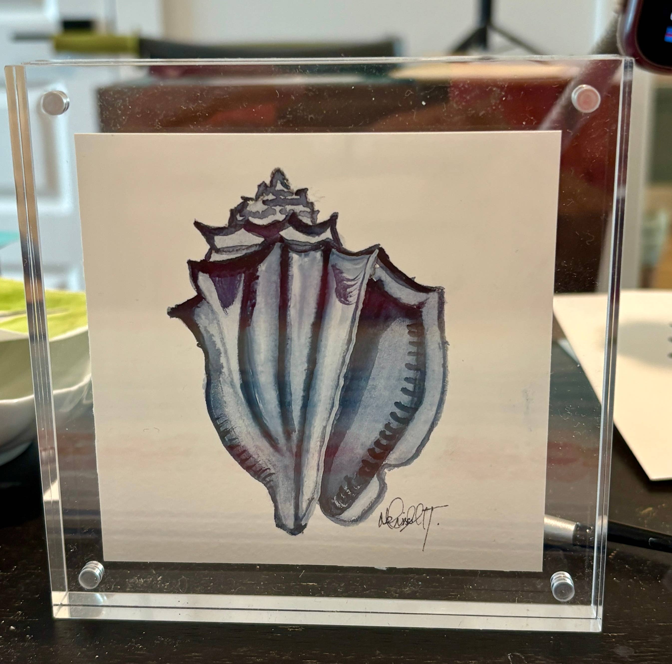 Paper Shells Studio - Venta al por mayor Ilustración - Concha marina original en acuarela en marco de bloque acrílico, 5x56