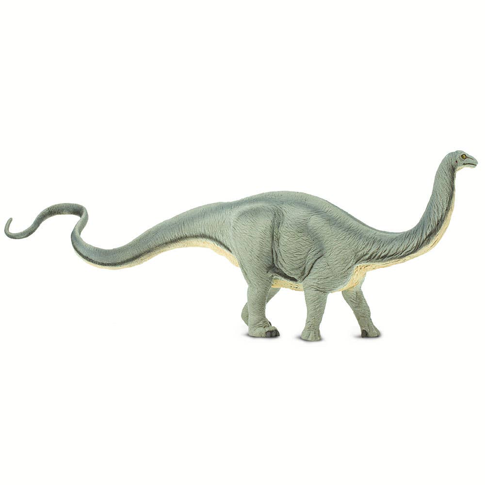 Safari Ltd. - Wholesale Figurine Toy - Kids - Apatosaurus - 3004291