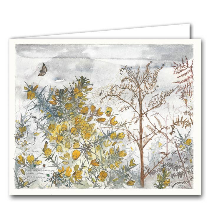 Silver Birch Cards – wholesale Everyday greeting card – Blank Greeting Card - 'Gorse'