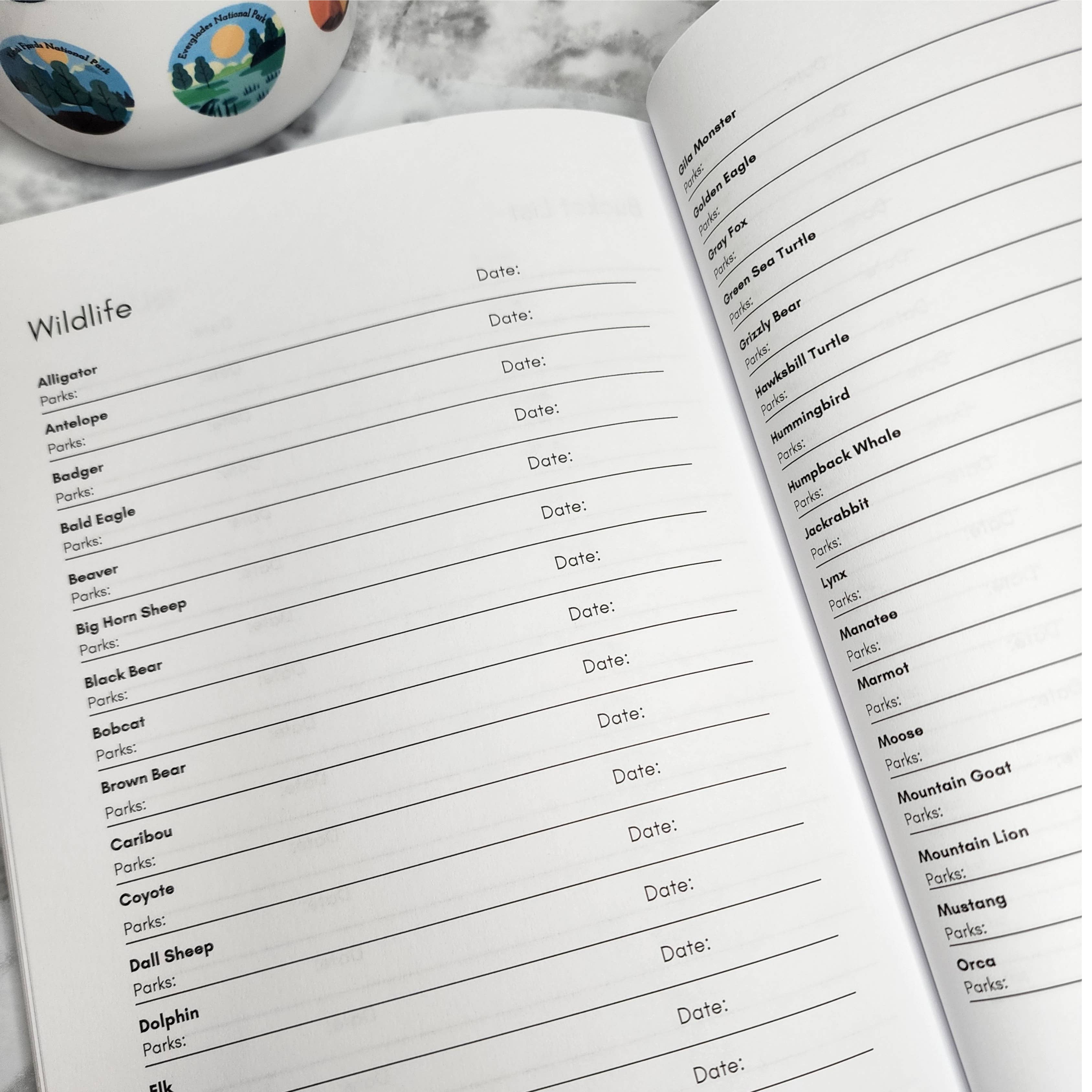 National Parks and Beyond - Wholesale Journal/Diary - Journey Through America's National Parks, A Passport Journal6